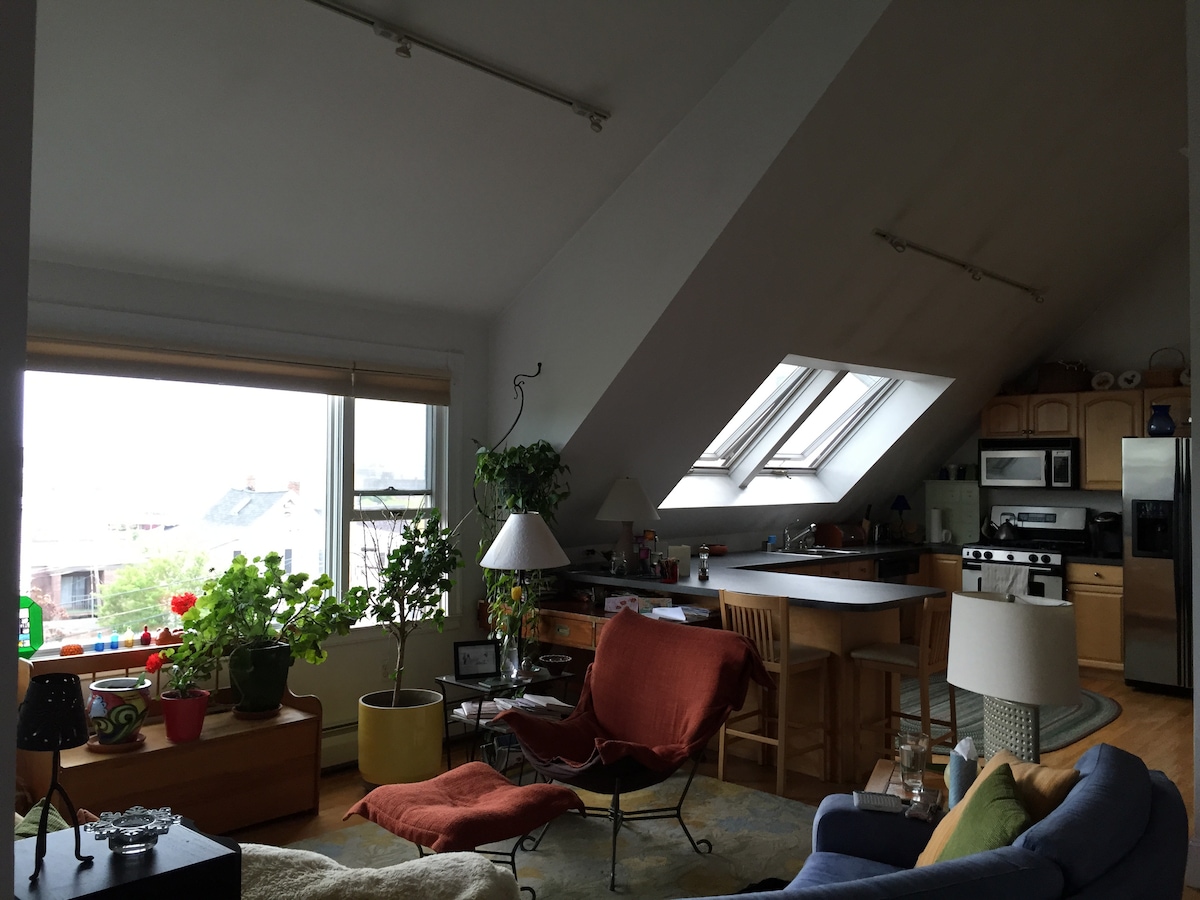 Всекидневна и кухня.  Катедрален таван. Безценен изглед!!!!