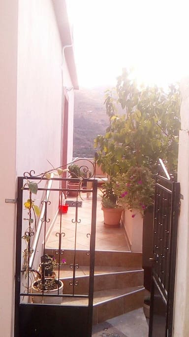 Main entry