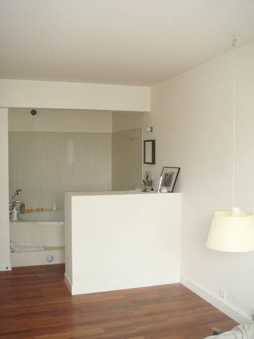Bedroom (daytime) with the bathtub in the back.