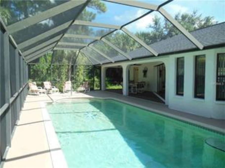 Pool & covered patio
