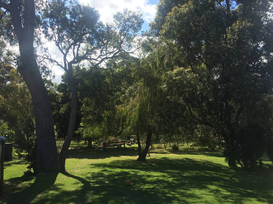 Bush setting. View from back verandah