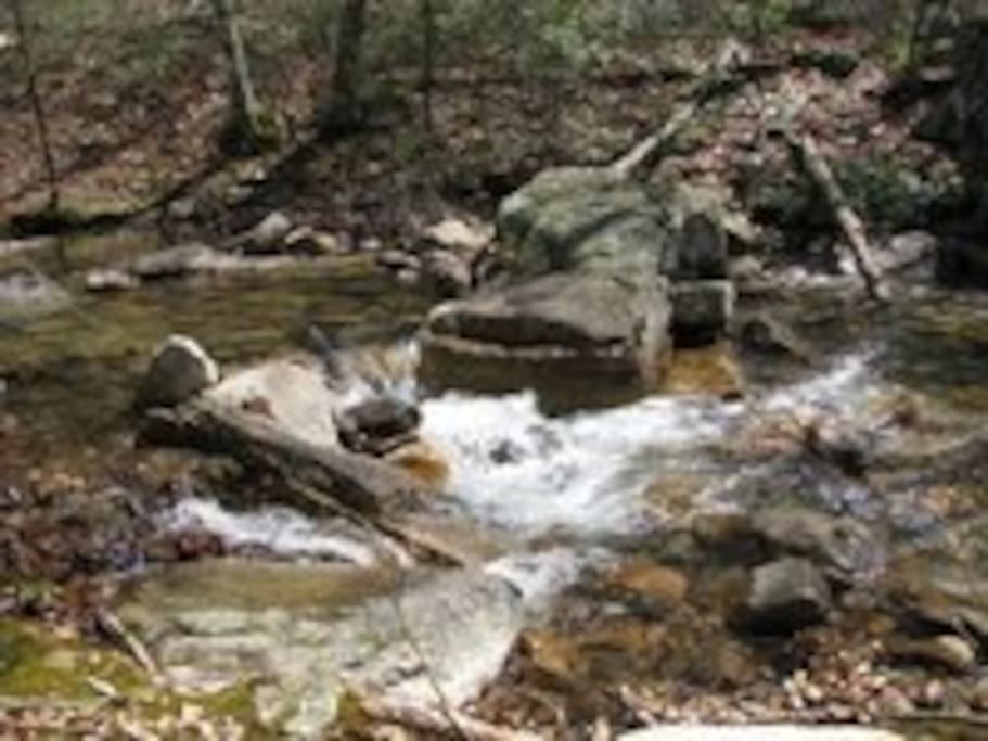 Hike the Shenandoah Mountains