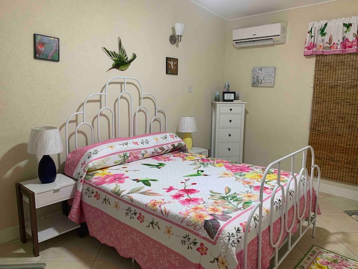 New Hummingbird dacor