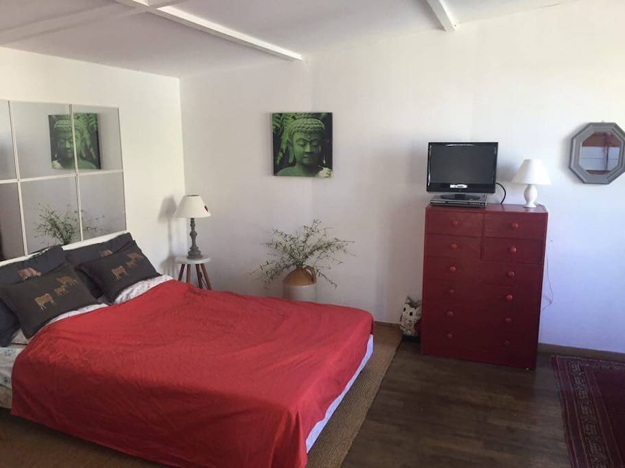 Main room - living room/ bedroom