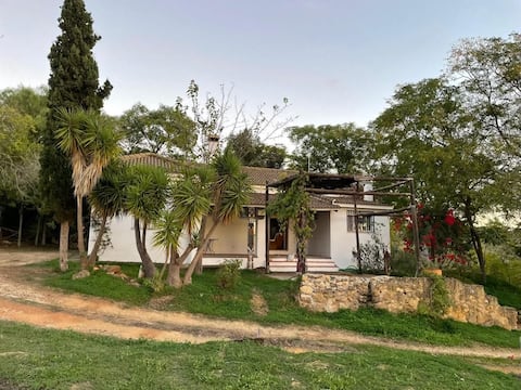 country house Seville