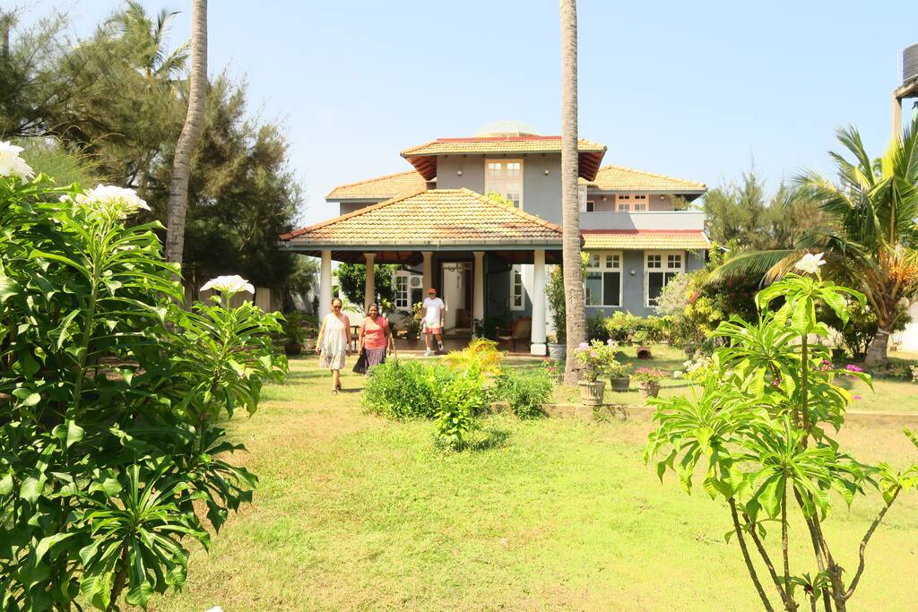 House and garden