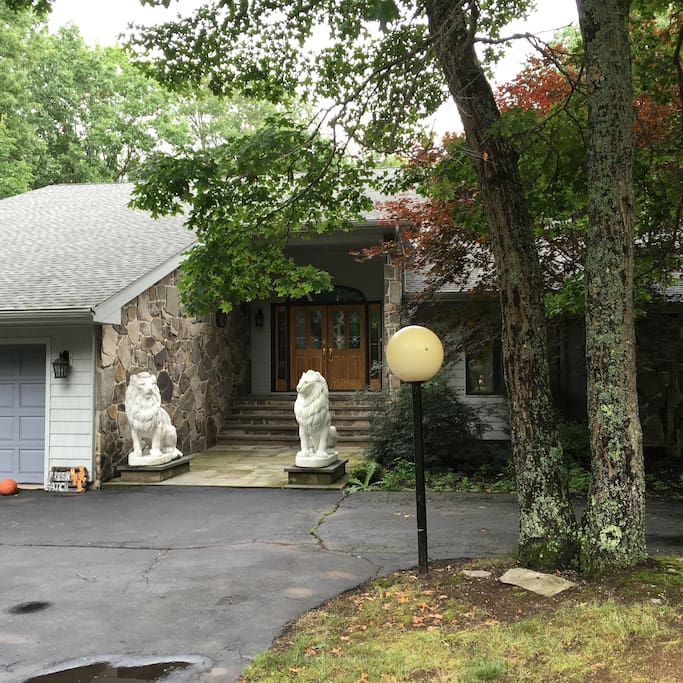 The lions guard your stay
