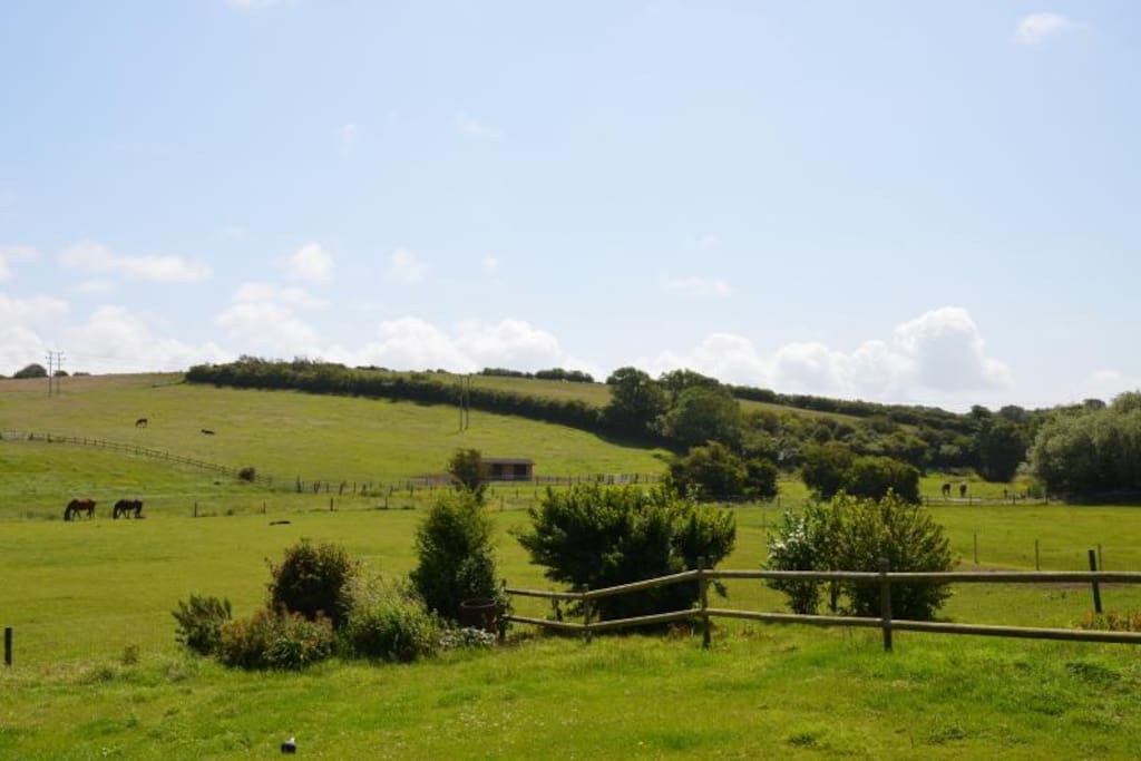 The fields surrounding the cottages