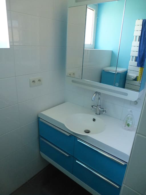 salle de bain des invités