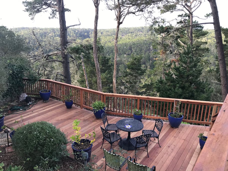 Private romantic 1 br in Carmel Woods, dogs