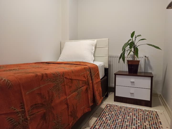 Quarto 2