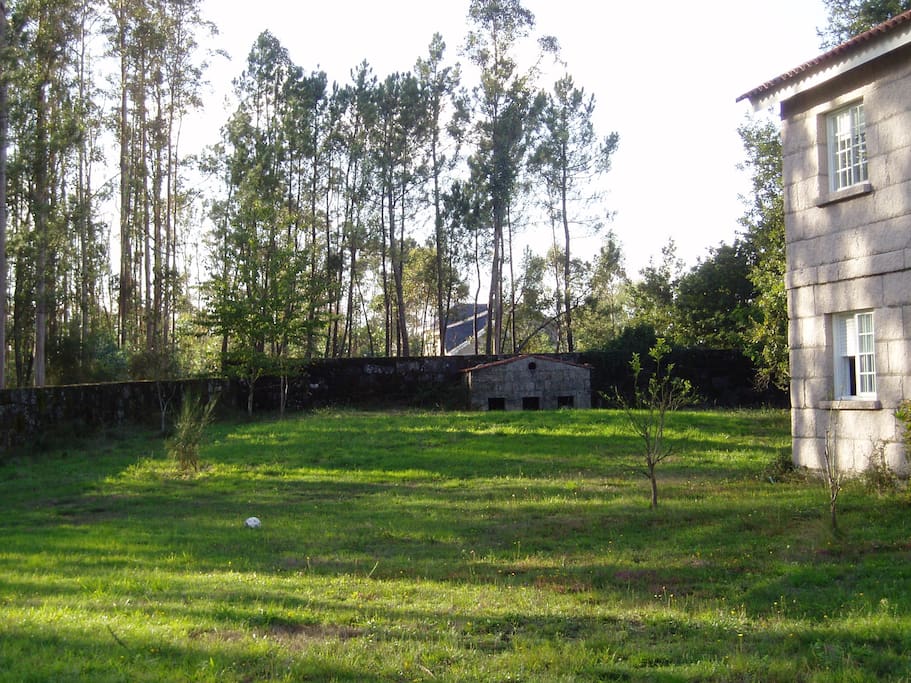Parte posterior