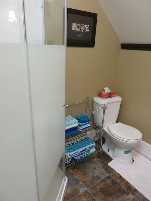 Shared Guest 3 piece/shower