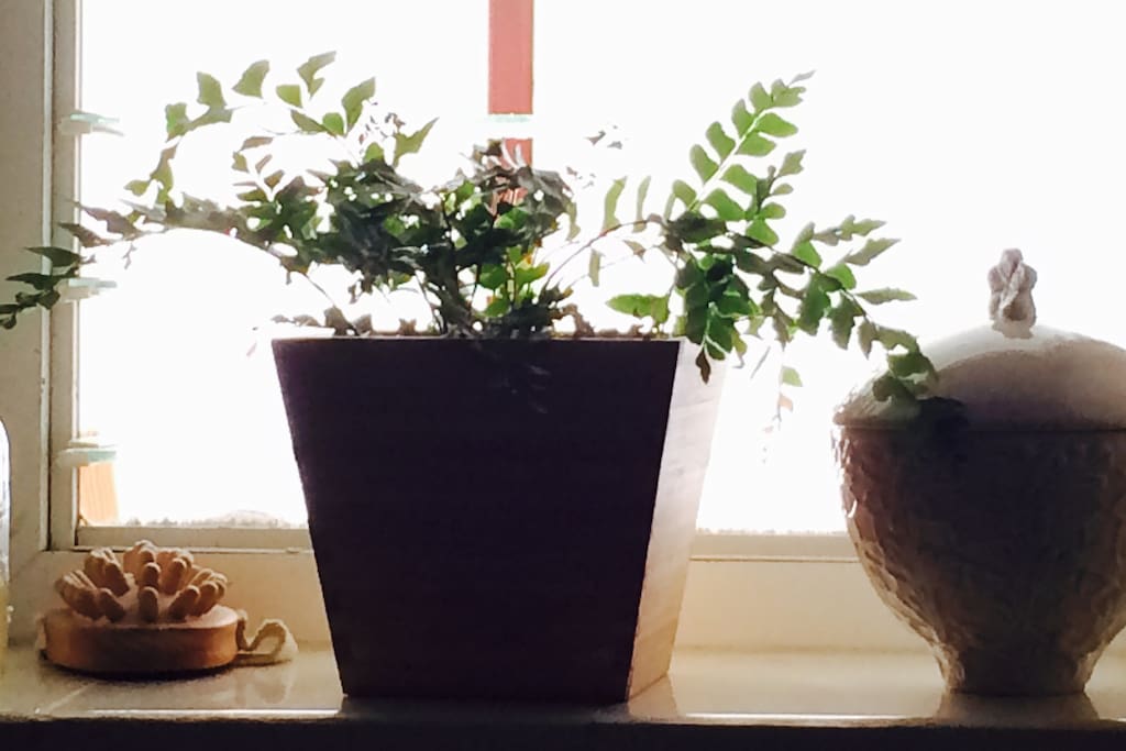 bathroom features