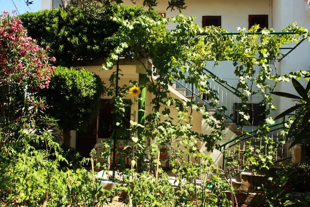 Behind the house