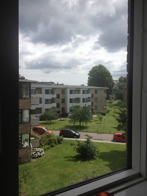 View from the bedroom
