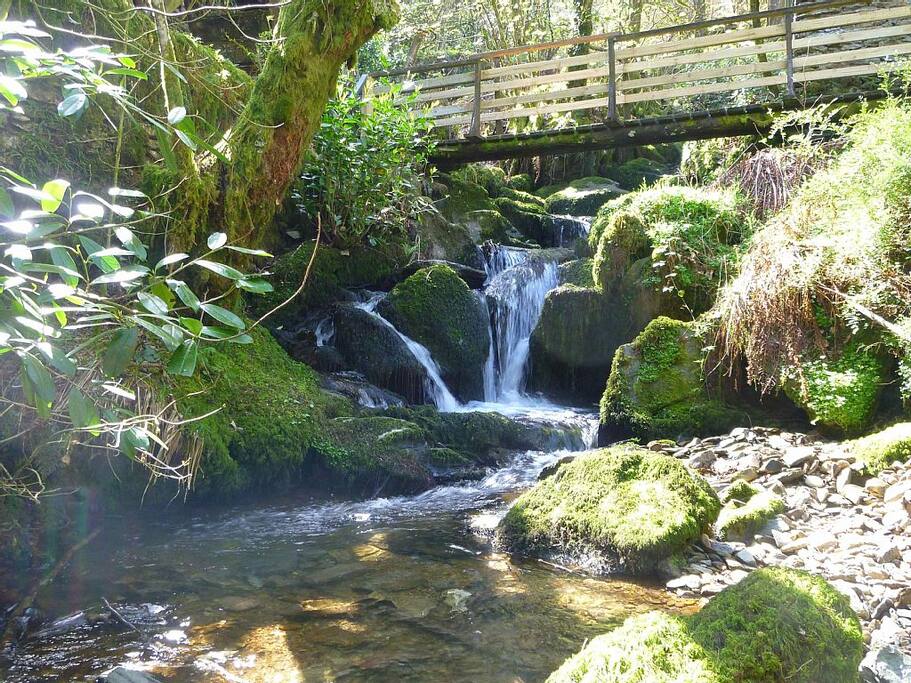 Oaklands - grounds of 1.5 acres