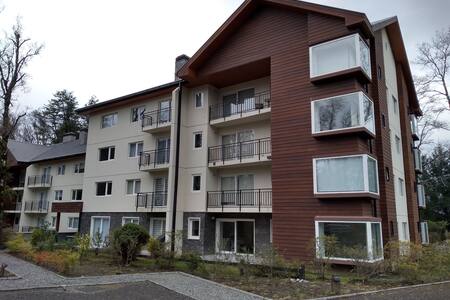 Departamento 2 personas, Pucón. Camino al Volcán.