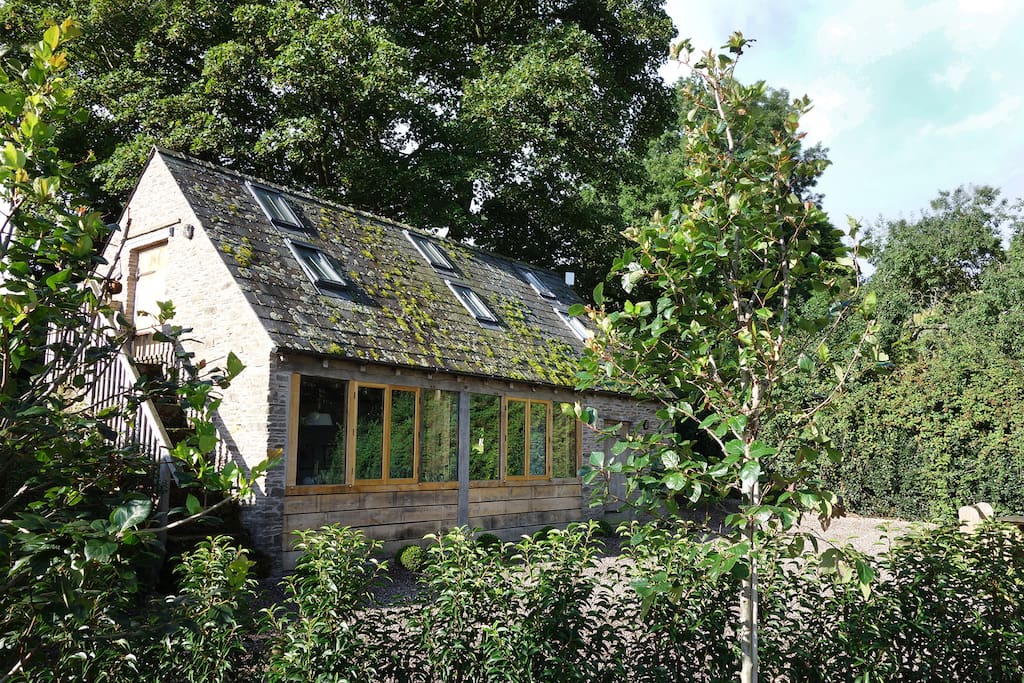 The Studio is sheltered by a pair of beautiful old Sycamore trees