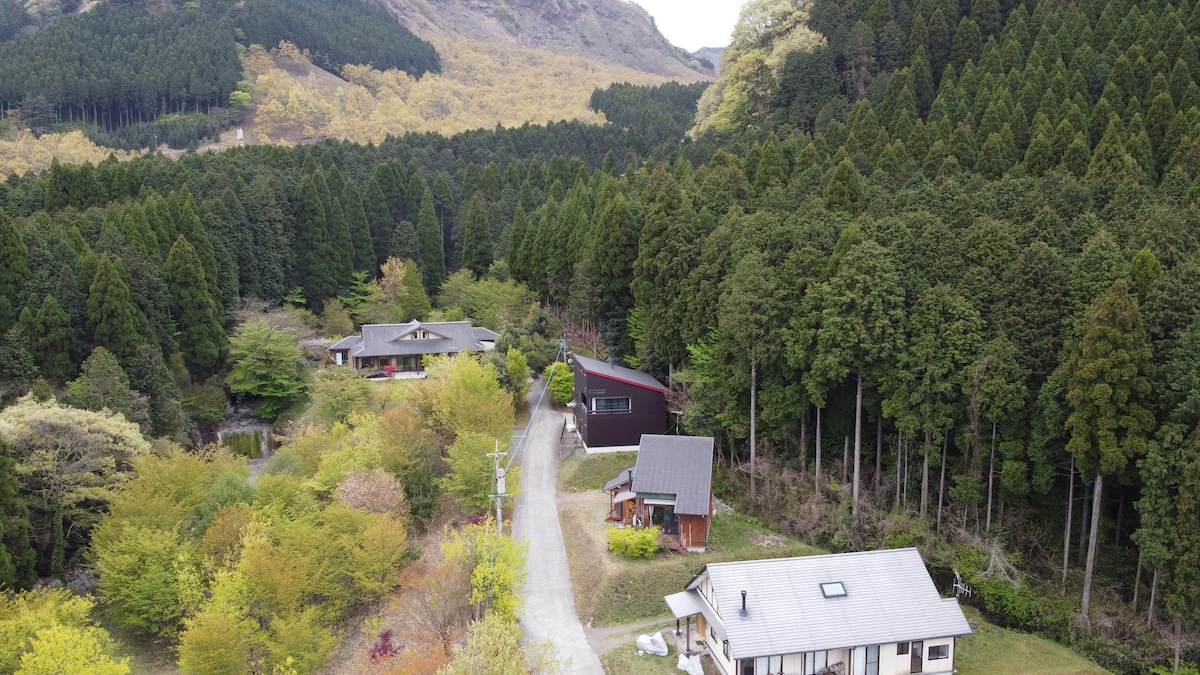 Aerial view of a serene landscape featuring a cluster of cottages nestled among dense green trees. The pathway connecting the cottages runs through lush vegetation, highlighting the blend of nature and architecture in the tranquil setting.