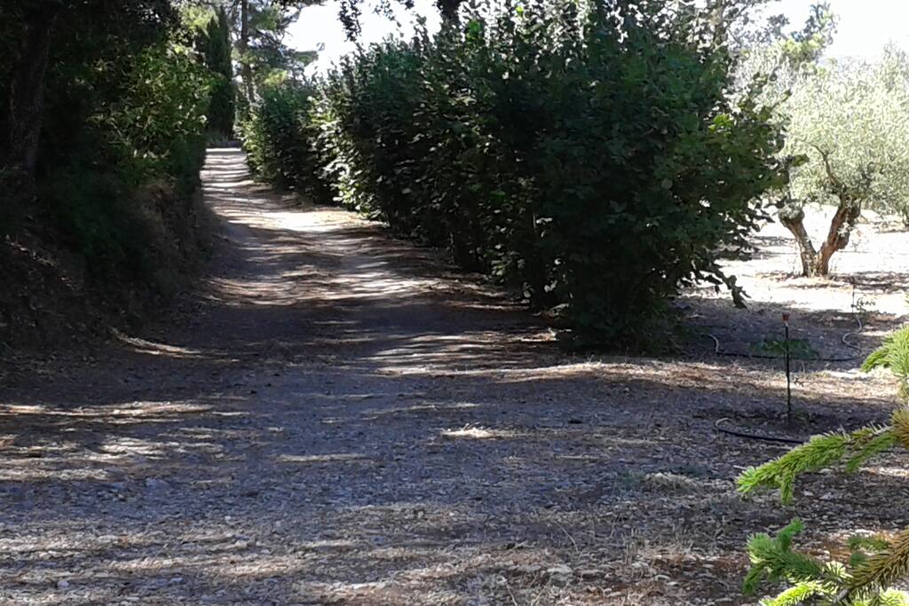 Entrada este