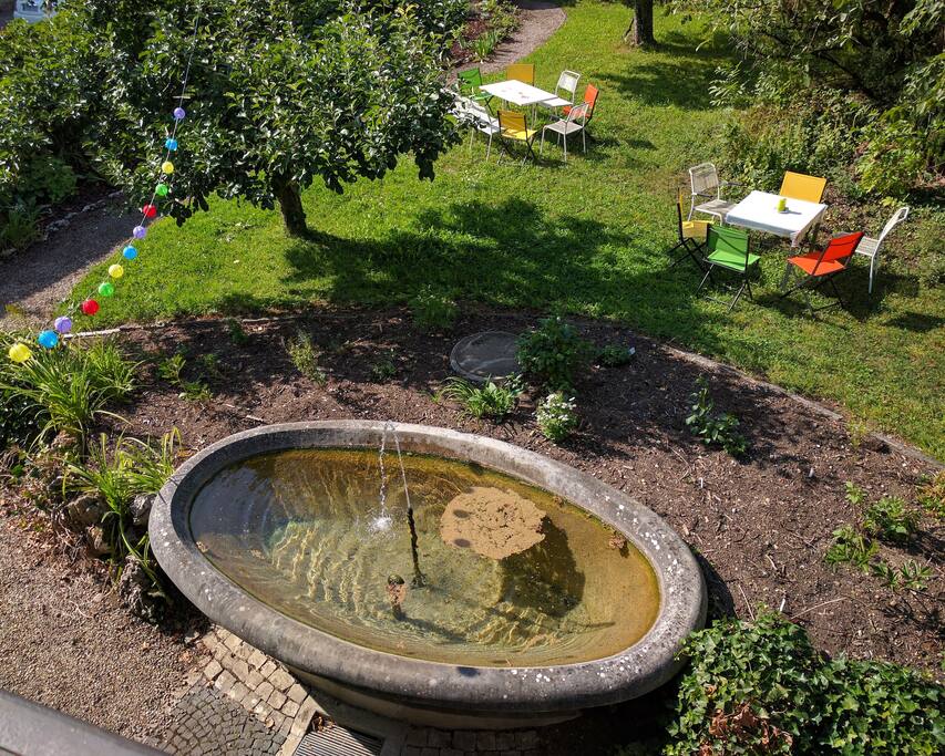 view to the garden