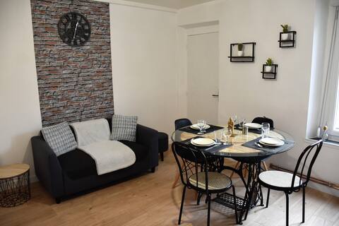 STOPOVER IN ÉPERNAY APPT 2/4 PERS ON THE BANKS OF THE MARNE