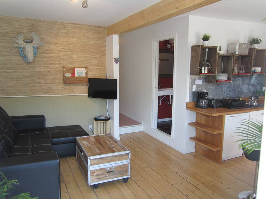 Grand salon ouvert sur la cuisine