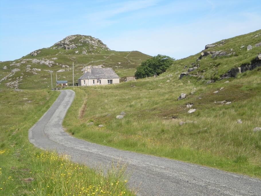 The cottage