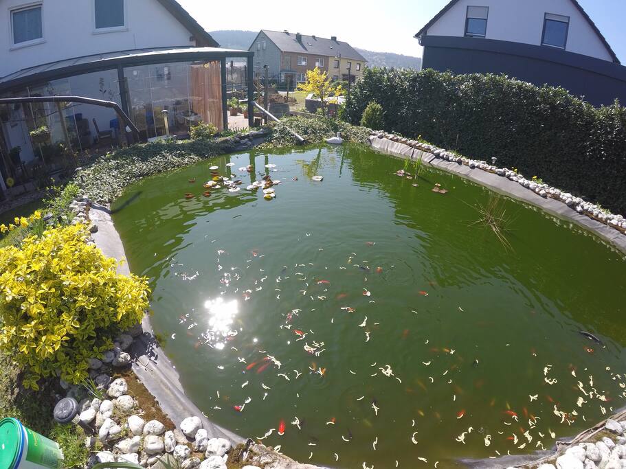 Grillplatz und Fischteich im Garten