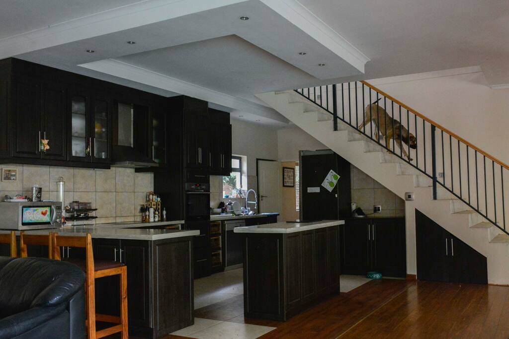 The open plan kitchen with the stairs leading to the 3rd reception room which leads onto 5 bedrooms.