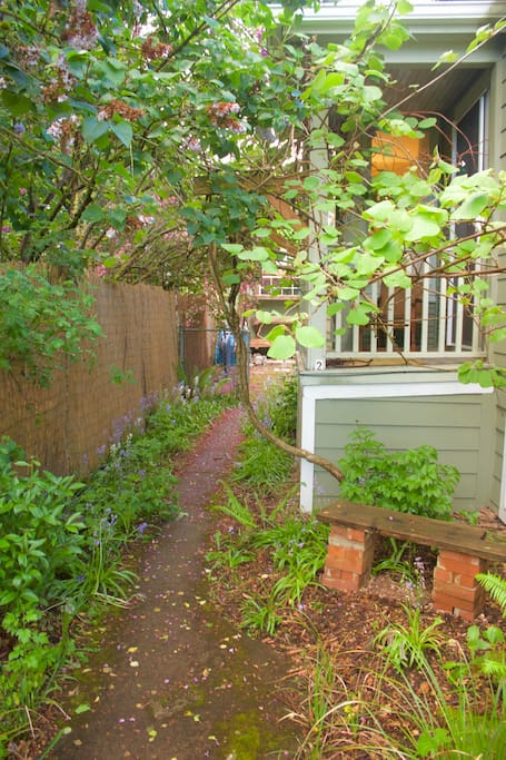 Private entrance to the studio on the left side of the house. Pathway to private entrance & outdoor space.