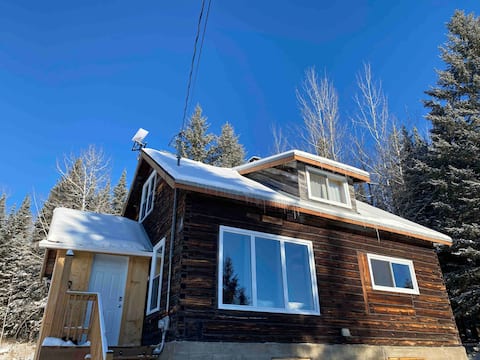 Northern Cozy Cabin (Private)