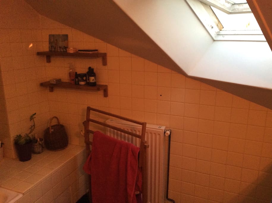 Salle de douche avec Velux