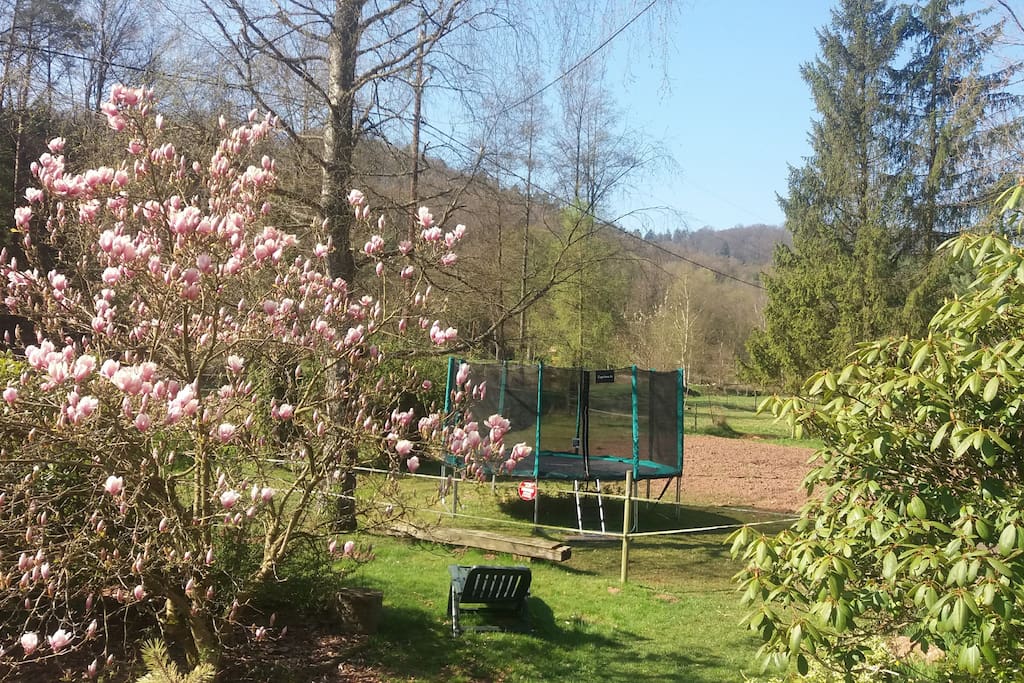 nouveau trampoline plus sécurisé en avril 2017