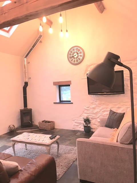 Cosy Cowshed in the Preselis - Dogs Welcome