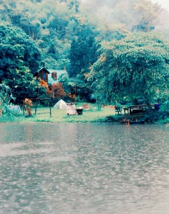A tranquil scene shows a lush, green landscape with trees and shrubs surrounding a small pond. A quaint wooden structure is visible among the foliage, accompanied by a white tent and various outdoor furniture, all set against a backdrop of gentle rain.