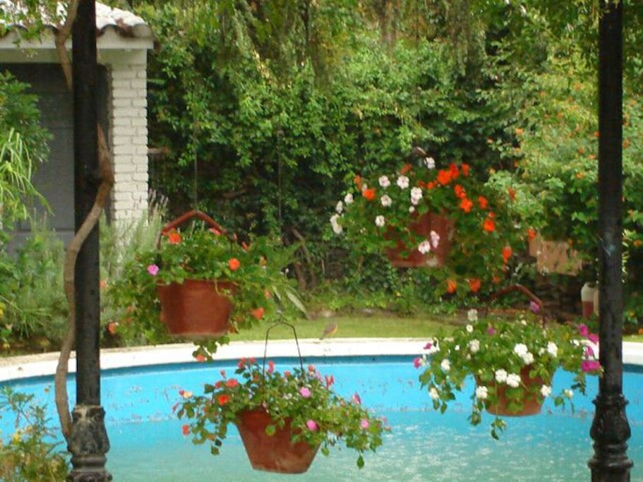 Flores y agua