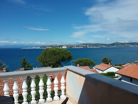 Top performing Airbnb: savudria 4 in Crveni Vrh