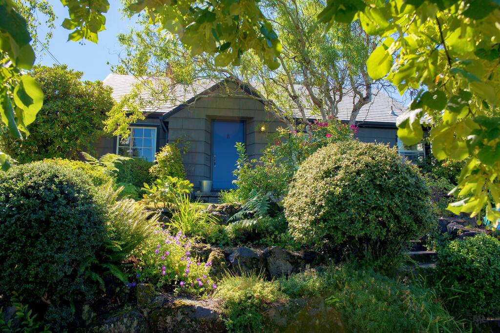 Lush front yard. Terraced front lawn with plum tree, ferns, hydrangea, rhododendron, roses, and more