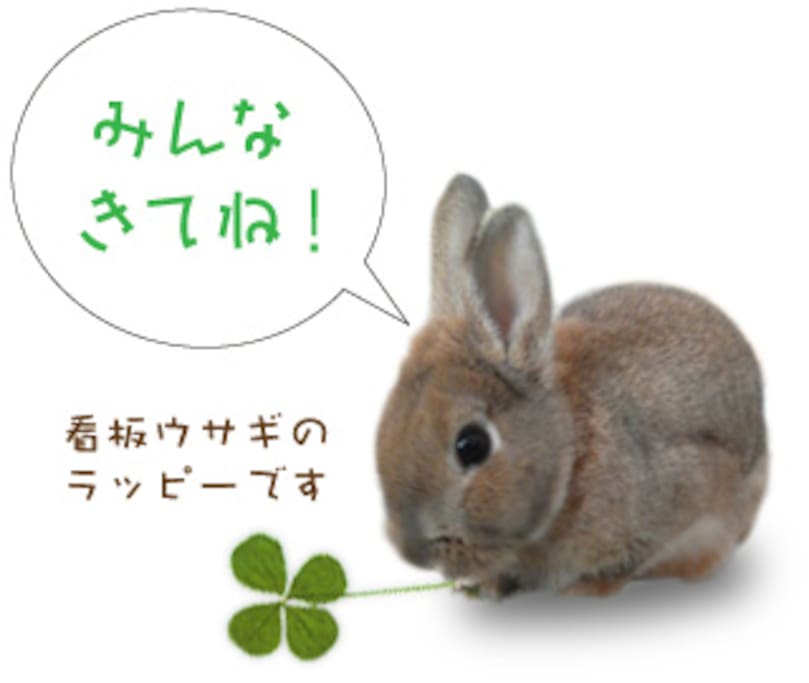 看板ウサギのラッピーです
Lappy the rabbit.