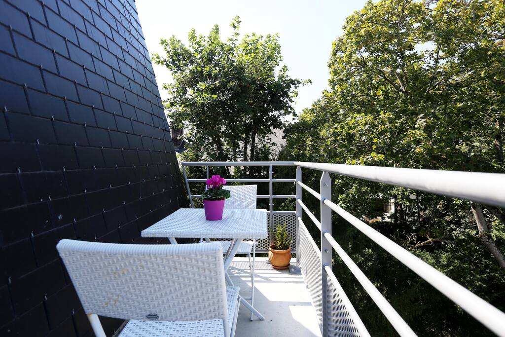 Petit coin de verdure, tout près des toits en ardoise de Chantilly