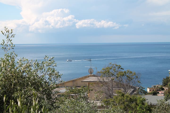 'Cinzia' Quiet apt. 8 min walk to the beach