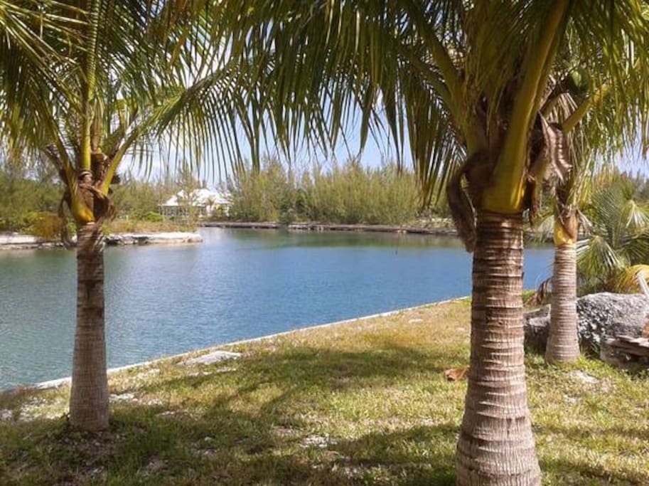 The canal seen from our yard