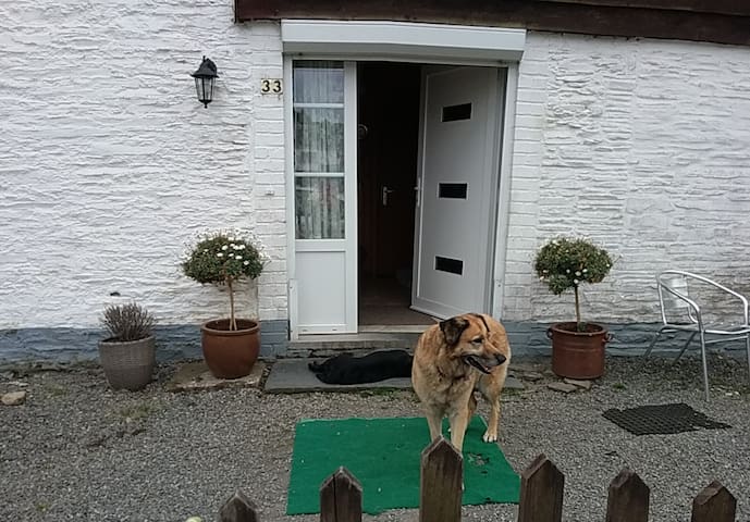 Airbnb Herbeumont Vacation Rentals Places To Stay