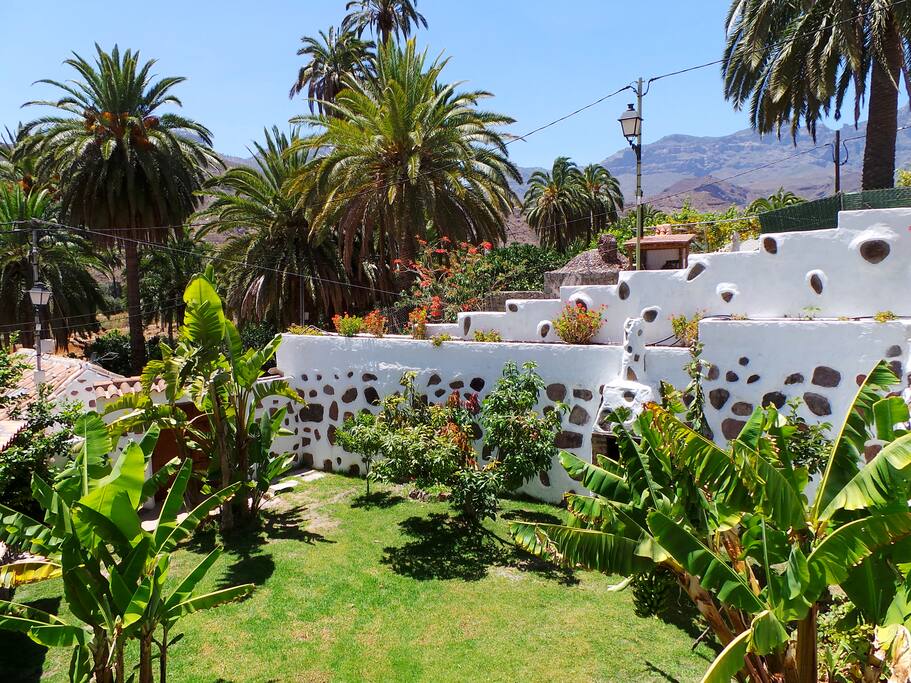 Jardin con árboles frutales