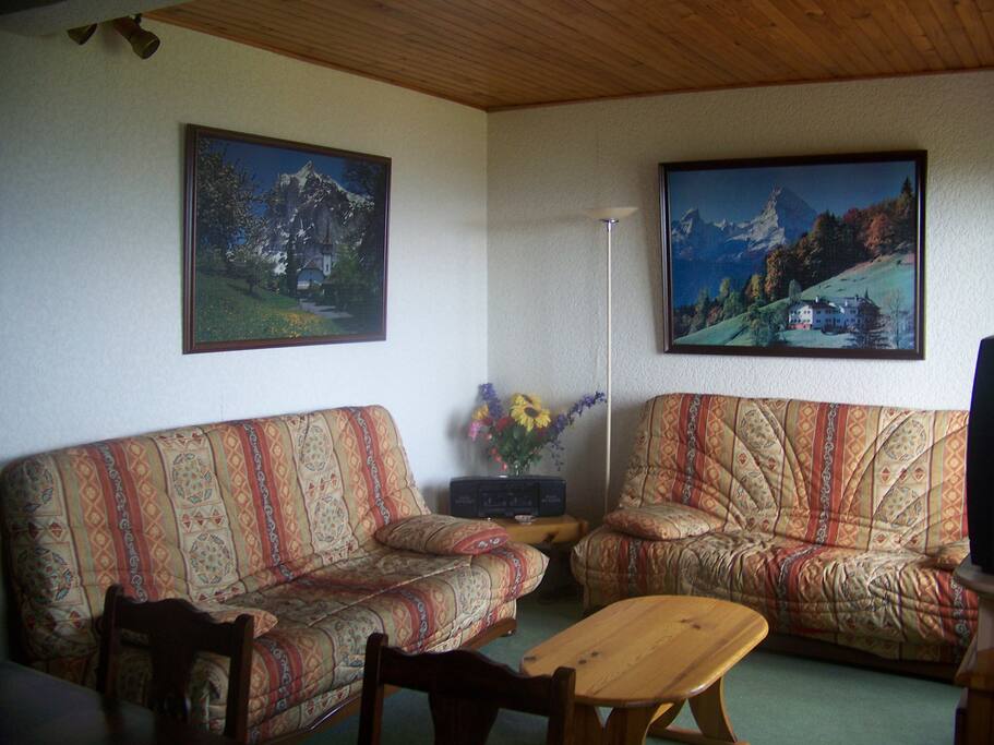 salon spacieux et ensoleillé