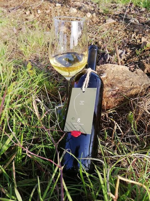 Grainha House - Vidigueira