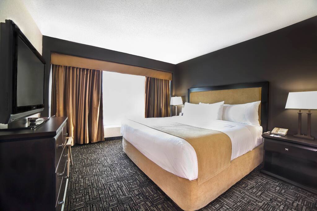 Executive King Bed
City View