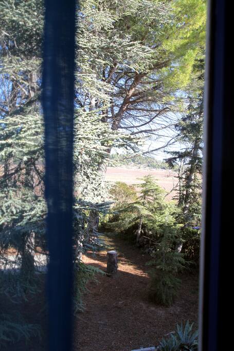 Vue depuis la chambre